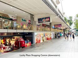 Lucky Plaza (D9), Apartment #580003341